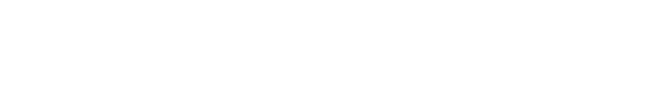 PocketTouch Logo